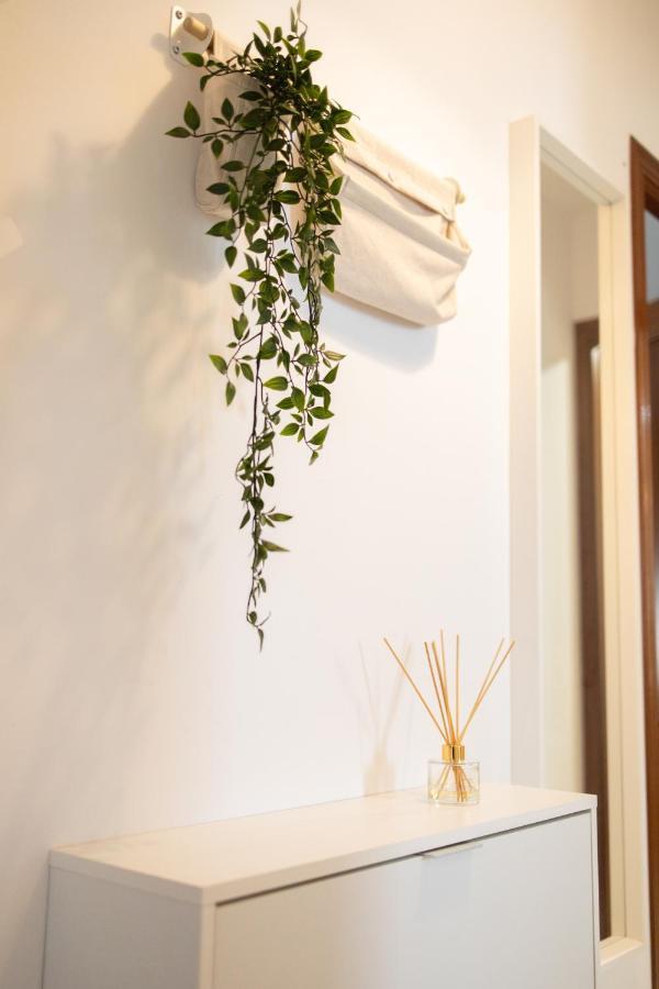 Apartamento Unicornio Sanlúcar de Barrameda Exterior foto